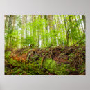 Suche nach washington state poster Forest