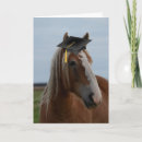 Suche nach horsey karten Pferd
