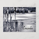 Suche nach kamm postkarten Für ihn