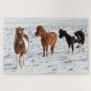 Suche nach isländisches pferd puzzle Winter