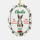 Suche nach boston terrier ornamente Für haustiere