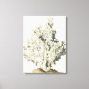 Suche nach korallenriff leinwandbilder Meer