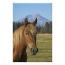 Suche nach sisters poster Usa