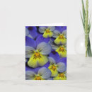 Suche nach der viola karten Danke