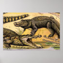 Suche nach reptilien poster Leguan