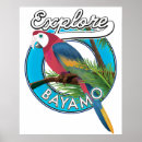 Suche nach niedlicher papagei poster Cartoon