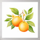 Suche nach orange blume poster Obst