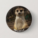 Suche nach meerkat buttons Mekka