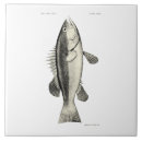 Suche nach vintage fische fliesen Nautisch