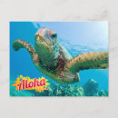 Suche nach honu karten Tropisch