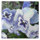 Suche nach stiefmütterchen fliesen Panik