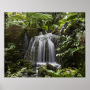 Suche nach tropischer garten poster Natur