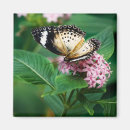 Suche nach leopard magnete Blume