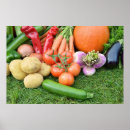 Suche nach zucchini poster Nahrung