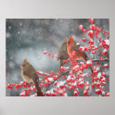 Suche nach kardinäle poster Winter