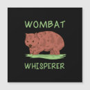 Suche nach wombat magnete Australie