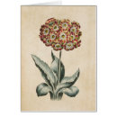 Suche nach aura karten Blume