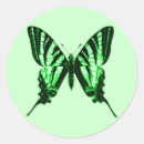 Suche nach papilio aufkleber Insekt
