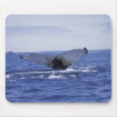 Suche nach atlantisch mousepads Umwelt