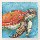 Suche nach niedliche schildkröte untersetzer Aquarell
