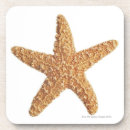 Suche nach seeleben untersetzer Starfish