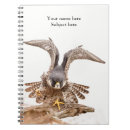 Suche nach wanderfalke Vogel