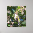 Suche nach ungewöhnlich leinwandbilder Einzigartig