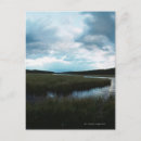 Suche nach sumpf postkarten Usa