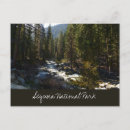 Suche nach sequoia postkarten Landschaft