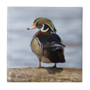 Suche nach male fliesen Elegant