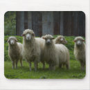 Suche nach ackerland mousepads Natur