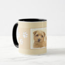 Suche nach norfolk tassen Terrier