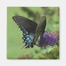 Suche nach frack magnete Fotografie