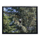 Suche nach adler kalender Vögel