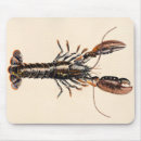 Suche nach schalentiere mousepads Nahrung
