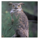 Suche nach virginia fliesen Vogel