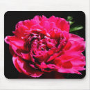 Suche nach pfingstrose mousepads Blume
