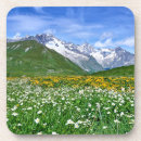 Suche nach alpen untersetzer Wiese