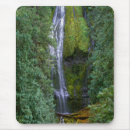 Suche nach nadelbäume mousepads Nadelbaum