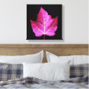 Suche nach roter hintergrund leinwandbilder Botanisch
