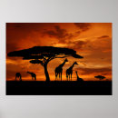 Suche nach african safari poster Giraffe