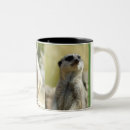 Suche nach meerkats tassen Kaffee