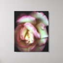 Suche nach zuneigung poster leinwandbilder Periode oder stil