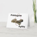 Suche nach agility karten Hunde