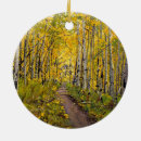 Suche nach mountainbike ornamente Berge