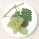 Suche nach grüne trauben untersetzer Weinberg