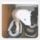 Suche nach verordnung aufkleber Tiere