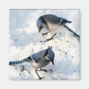 Suche nach zwei vögel magnete Blau