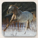 Suche nach appaloosa untersetzer Schnee