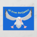 Suche nach vogel im flug postkarten Fliegen